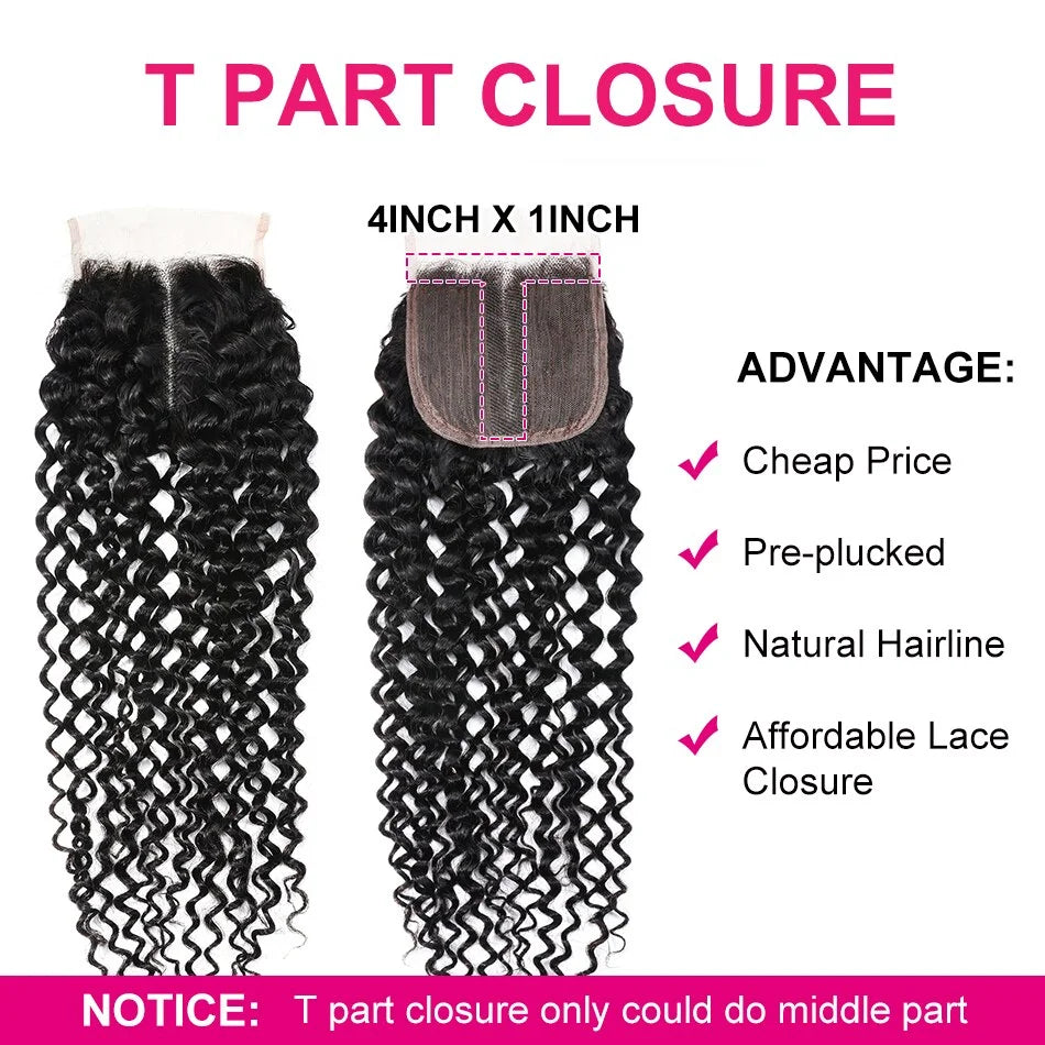 UNice Hair Curly Lace Closure Brazilian Hair 5x5 HD Lace Closure Free Part Human Hair Closure 10-20inch
